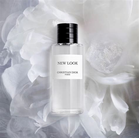 dior speen kopen|Dior new look 2024.